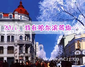 戴胡萱：《2011，我在哈尔滨等你……》