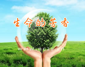 于芹跞：《生命的芳香》