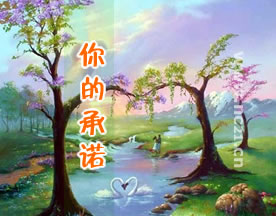 杨小园：《你的承诺》