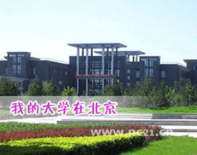 石翔：《我的大学在北京》