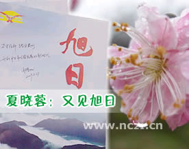 夏晓蓉：又见《旭日》