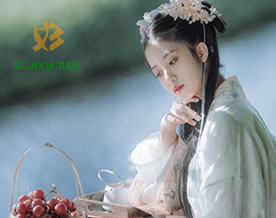 罗隐：鹦鹉｜yīng wǔ