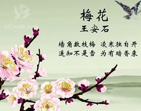 王安石：梅花｜méi huā