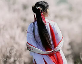 文清：怨歌行｜yuàn gē xíng